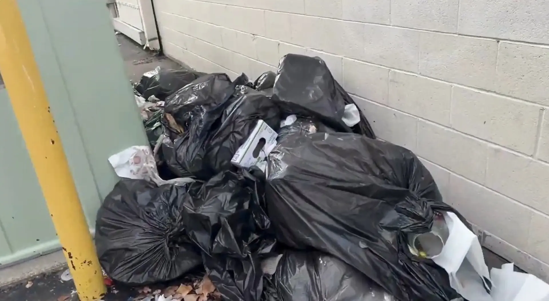Debris scattered along a residential property line during cleanup